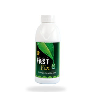 Fast fix